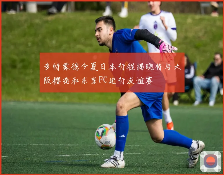 多特蒙德今夏日本行程揭晓将与大阪樱花和东京FC进行友谊赛
